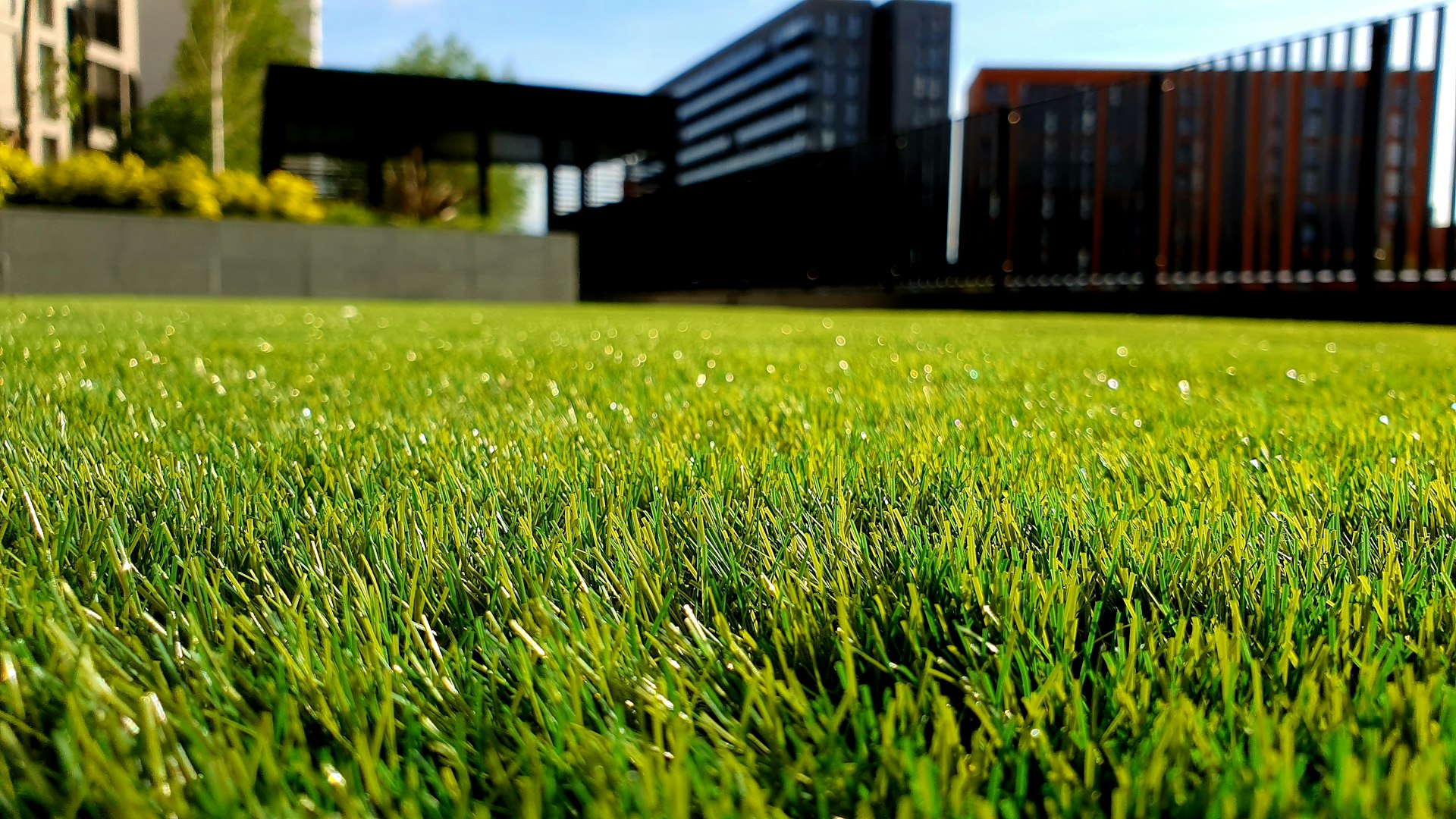 Gepflegter Garten mit Grünflächen und Bäumen