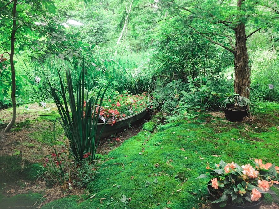Platzhalterbild: gepflegte Gartenfläche